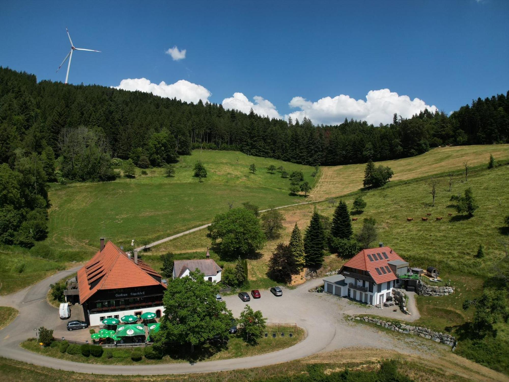 Ferienhaus Wendelinus Mit Pool & Sauna Hausach Eksteriør billede